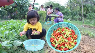 Cute girl Siv chhee, she can help us to collect vegetable for cooking - Family food cooking