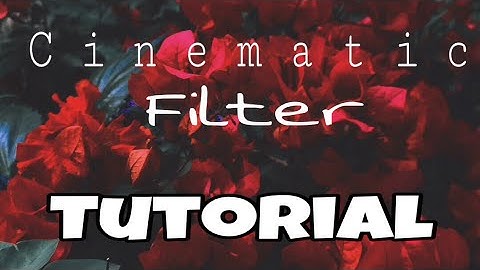 Cinematic Filters Tutorial - JohnDanielVlog002 feat: Afterlight 2