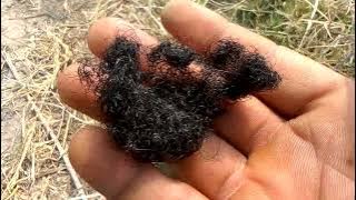 Dawa hatali Mvuto wa mapenzi