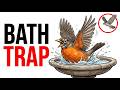 The Most Dangerous Minute in a Bird’s Day