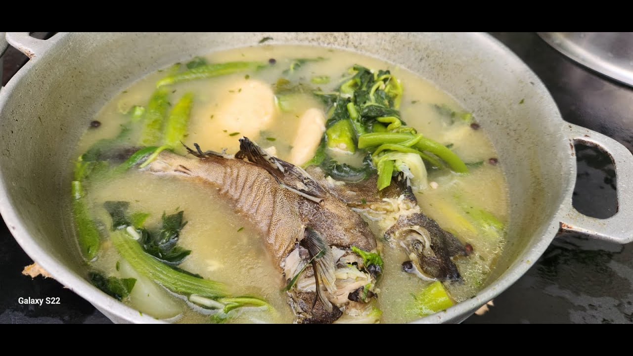 ONE OF OUR FAVOURITE DOCTOR FISH SOUP / TEA 