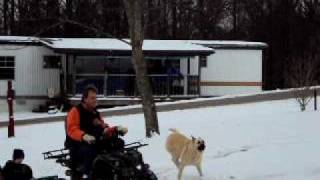 daddy pulling chris on sled.AVI