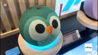 Which to Buy? Amazon Echo Kids vs Pop vs Dot vs Spot vs Show 8 vs 10 vs 15 vs Alexa Speakers Compare