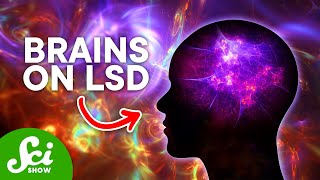 What Happens to Your Brain on LSD? Can it be Useful?