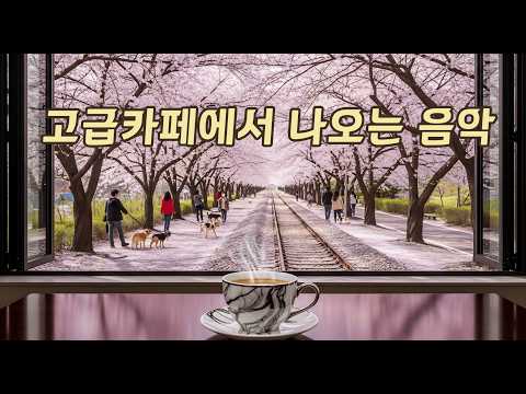 진해 벚꽃 감성 🌸  Cherry Blossom Cafe Music (Study  Work) | 중간광고없음🔕