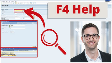 Search help in SAP | Find the needed information easily | F4 help