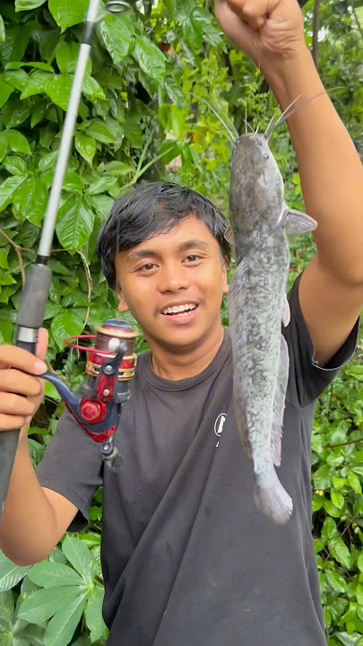 ikan lepas jadi  rzeki para pemancing #banjir #banjirbandang #mancing #mancingmania #bolang #lele