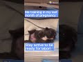 Stay active to be ready for labor! #pregnant #baby #memes #funny #funnyreels #funnyshorts