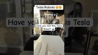 Have you met this Tesla Robot? 🤖