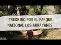 Trekking Parque Nacional Los Arrayanes