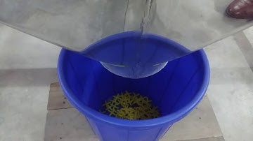 Two head linear weigher