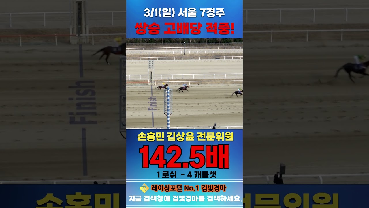 [서울 경마] 3월 1일 일요 7경주 손홍민 김상윤 전문위원 쌍승 고배당 적중 #경마 #horse #하이라이트 #automobile #한국마사회 #riding #sports #게임