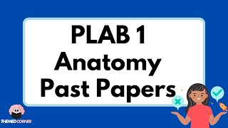 Plab 1 Anatomy Questions High-Yield Past Paper Breakdown