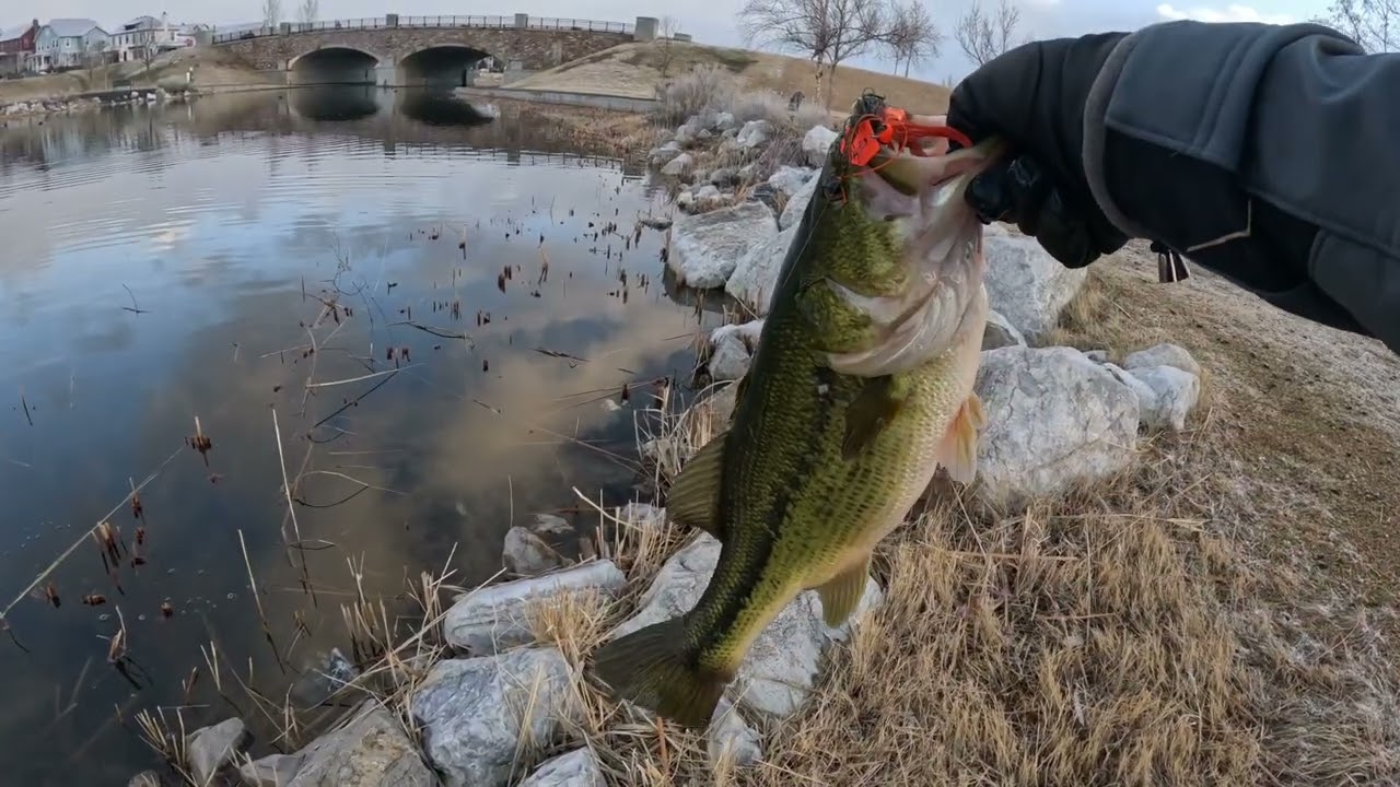 Big Bass smashing the Chatterbait.