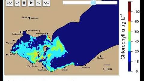 Harmful algae bloom forecast