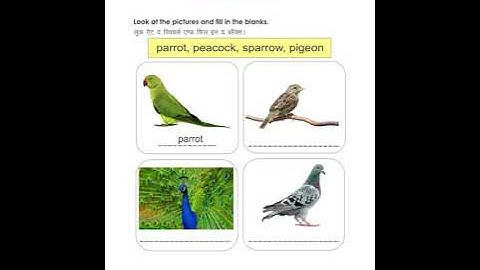 Class 2 English Worksheet 25 Part 2