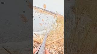 today the best hunting# huntshot