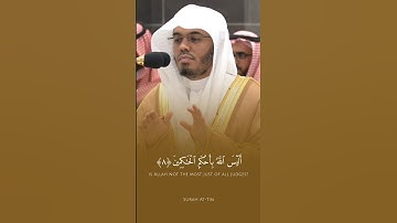 فضيلة الشيخ أ.د. ياسر الدوسري || التين والزيتون || سورة التين