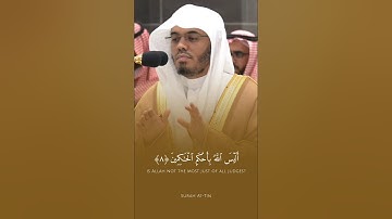 فضيلة الشيخ أ.د. ياسر الدوسري || التين والزيتون || سورة التين