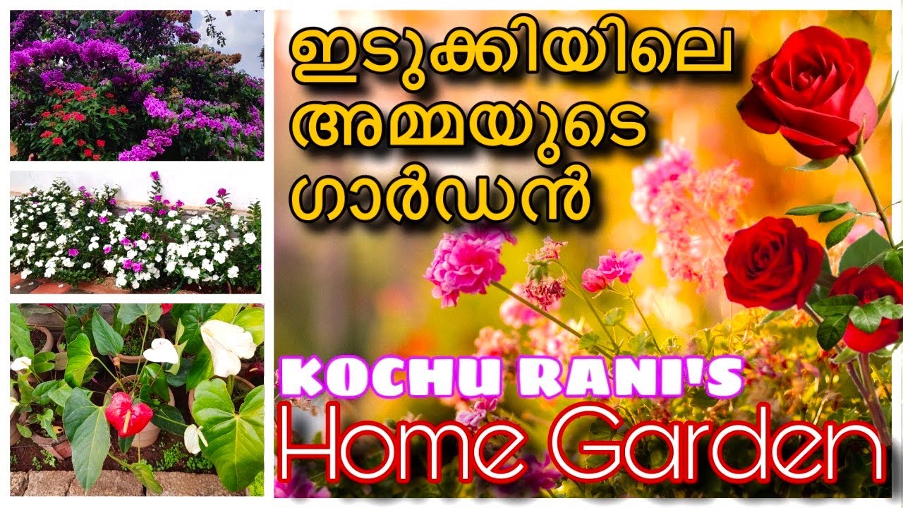 ഇടുക്കിയിലെ പൂന്തോട്ടം🌹🌹Kerala Home Garden TourMalayalam flower garden Canada Malayalam🔥🔥🔥