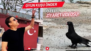 Oyun Kuşu Önder - Ziyaret Videomuz Geldi - Duayen Arapları Sizlerde Tanıyın 