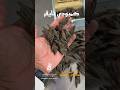 عرض الكمبودي تايقر
