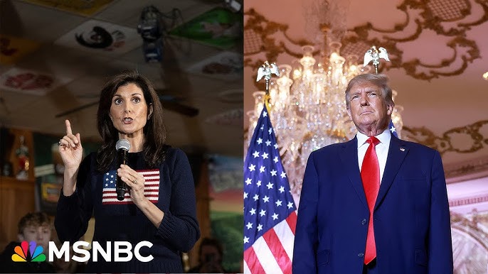 Former Nh Gop Party Chair I Don T Think Nikki Haley Beats Donald Trump In New Hampshire