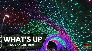 🔥Tampa Bay LGBTQ+ Updates: Red Dress Ball, Transgender Day of Remembrance, Holiday Events & More! 🌈