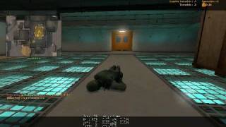 ESEA Randoms