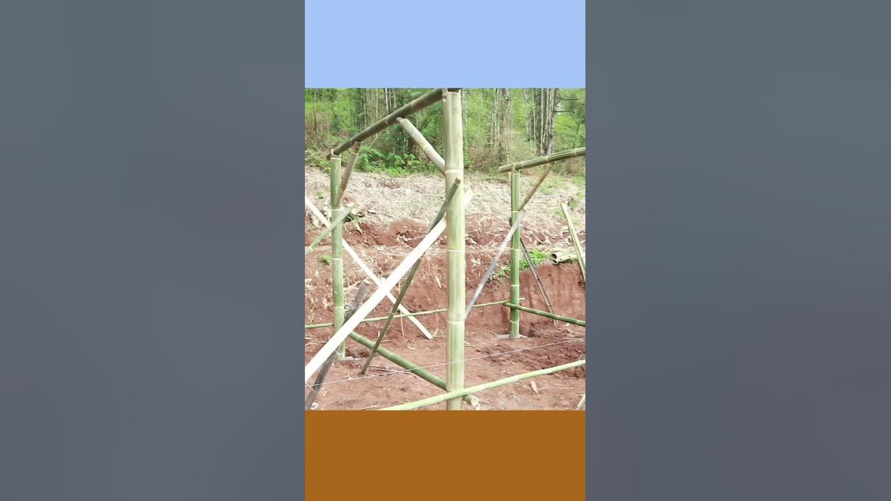 Tiang bambu lebih murah dan praktis cocok untuk bangun rumah mungil #videoshort #bangunrumahcepat Tiang bambu lebih murah dan praktis cocok untuk bangun rumah mungil #videoshort #bangunrumahcepat