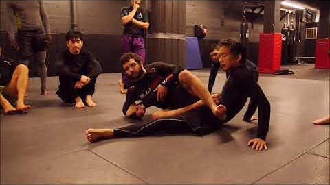 Inhibiting our opponents late stage heel hook defense - seminar sample