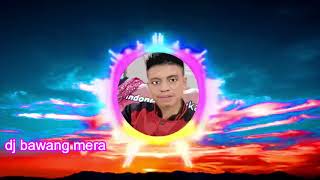 dj rica tomat