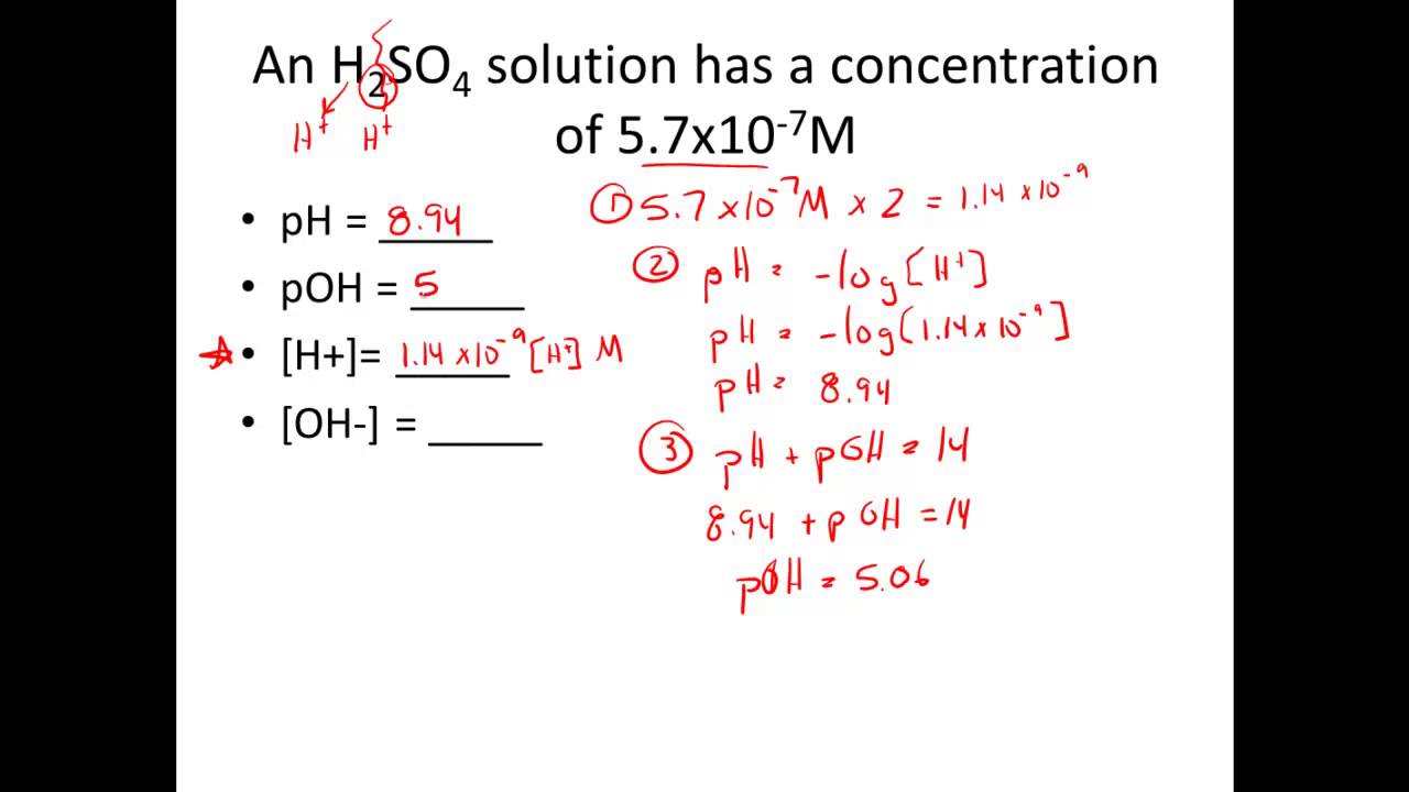 Given [H+] or [OH], Calculate pH & pOH YouTube