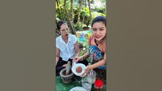 မမို့ ငပိထောင်းနည်းပြရင်းနဲ့ မေမေ့ခြံထဲက အသီးအရွက်တွေခူးပြီးဟင်းချက်စားမယ်