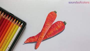 How to Draw a Carrot | Realistic Drawing Tutorial for Beginners | Colored Pencils Techniques