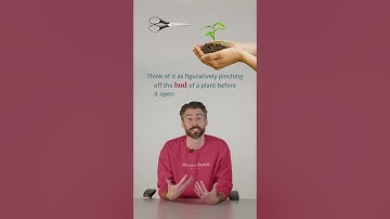 "Nip in the bud" or "Nip in the butt"?