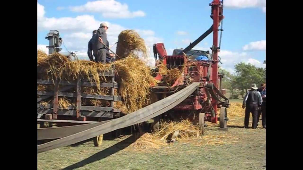 Threshing Bee YouTube