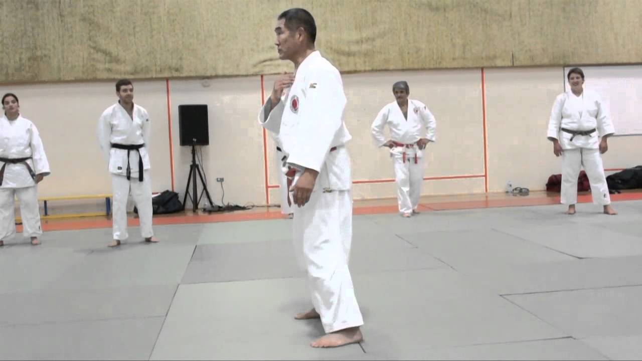 Katanishi Sasae Tsurikomi Ashi 2