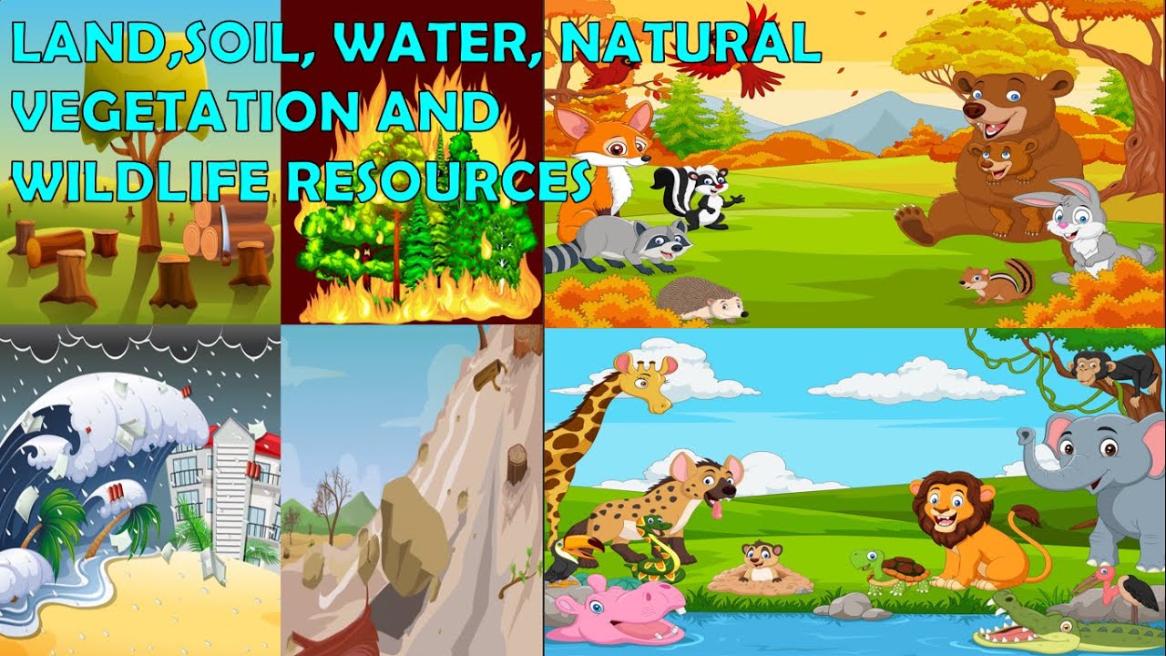 Land Soil Water Natural Vegetation And Wildlife Resources Cbse Class 8 class-8-geography-ch-2-land-soil-water-natural-vegetation-and