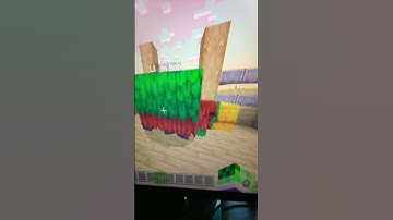 Pov: you join a random game of COD #minecraft #funny