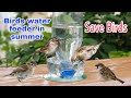 Birds water feeder ||How to make bird water feeder || Telugu experiments || Mr.Crazy Vamshi