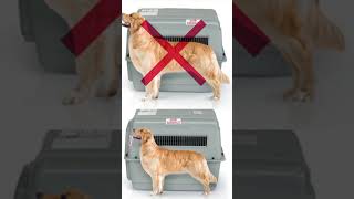 Do you know the crate requirements for your pet's flight?