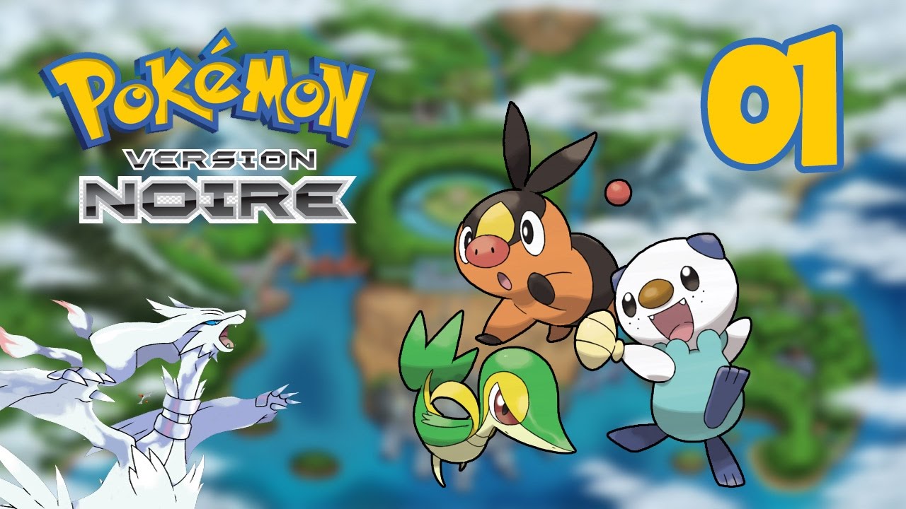 Pokémon Noir - Episode 01 - Grukui, Vipélierre ou Moustillon ?