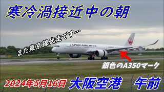 【伊丹空港】　連日東京線にA350が運行される　銀色のA350マークがかっこいい　大阪空港