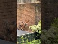 It’s so cute