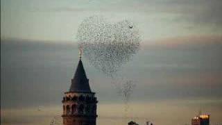 Ferhat Göçer-Cennet