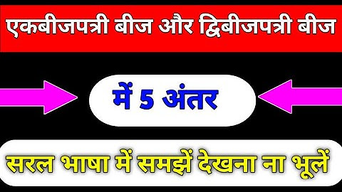 एकबीजपत्री तथा द्विबीजपत्री पौधों में अंतर | Difference between Monocotyledonous and Dicotyledonous