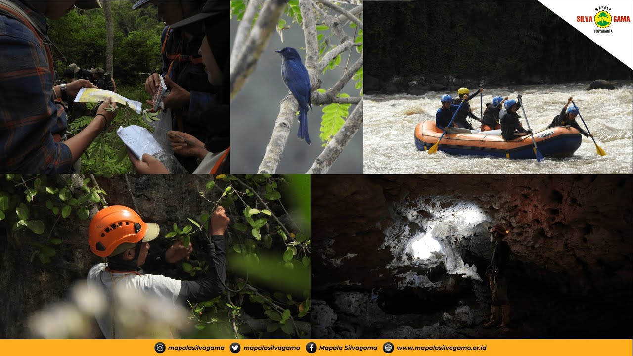 MATERI DASAR 5 DIVISI MAPALA SILVAGAMA - GLADIAN XXXVII MALEO