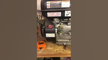 Predator Max Performance 224cc (more to come) #predator212 #motor #212cc #minibike #gokart #new