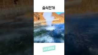 술식전개